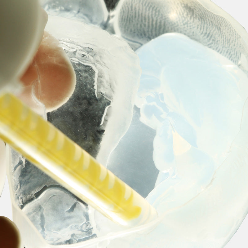 Transparent Matrices – Bio Link Medical Surgical Equipment ...