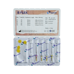 E-FLEX PATH