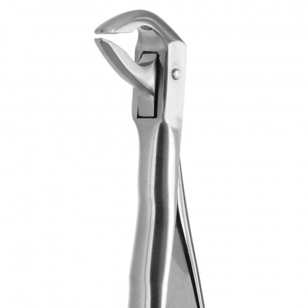 TOOTH FORCEPS BLADE BEAKS N.74