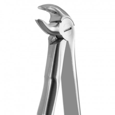 TOOTH FORCEPS BLADE BEAKS N.13