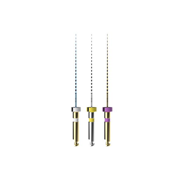 E-FLEX PATH Eighteeth