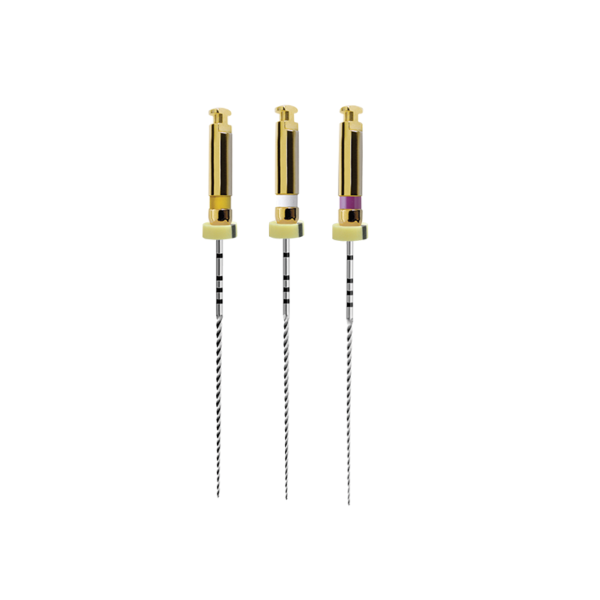 Fanta C-Path Rotary File (Assorted- 4pcs)