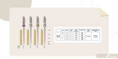 E-FLEX PATH