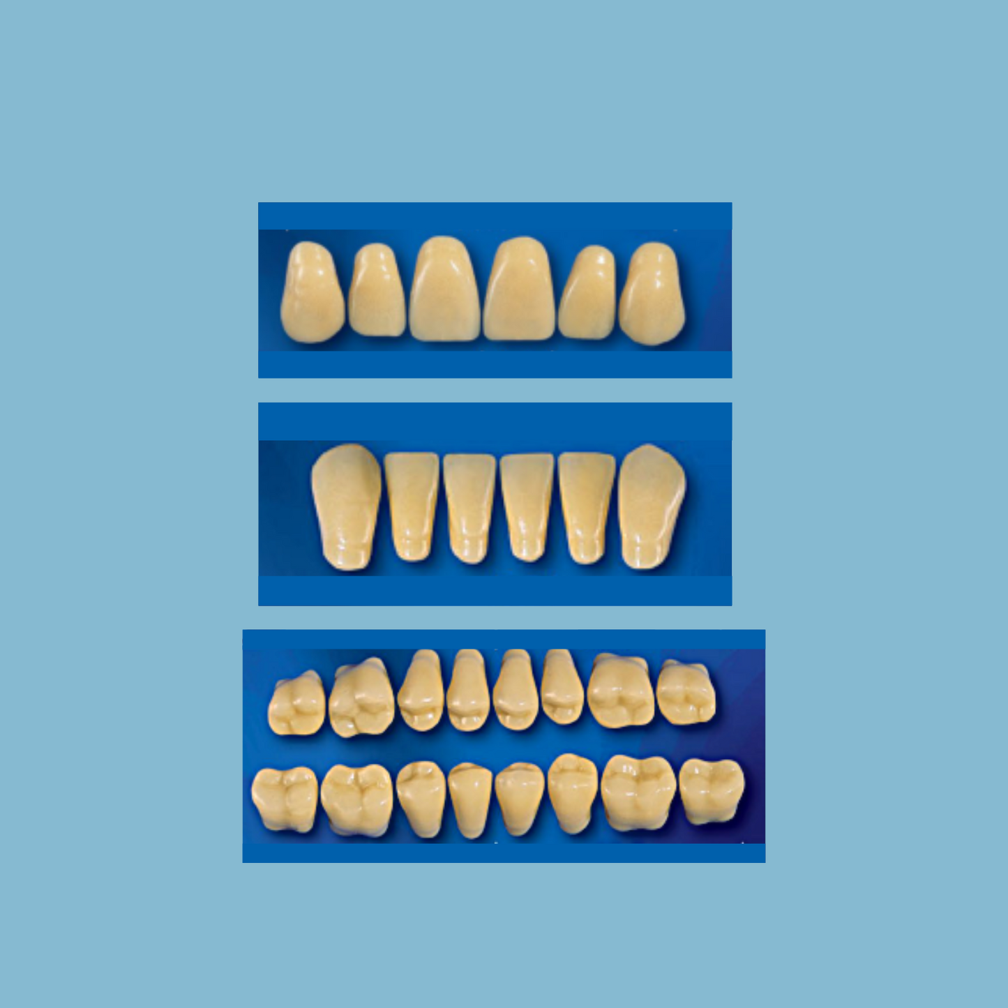 Goldent Classic Acrylic Teeth (28 teeth)